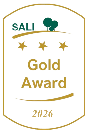 SALI Gold Award 2026 badge displayed on DSMG’s current website