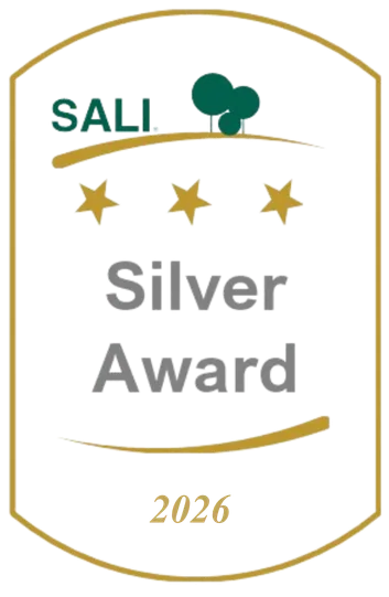 SALI Silver Award 2026 badge displayed on DSMG’s current website