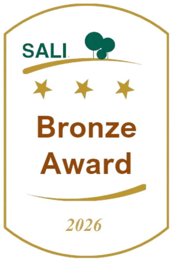 SALI Bronze Award 2026 badge displayed on DSMG’s current website