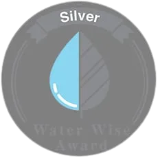 Silver Water Wise Award badge displayed on DSMG’s current website