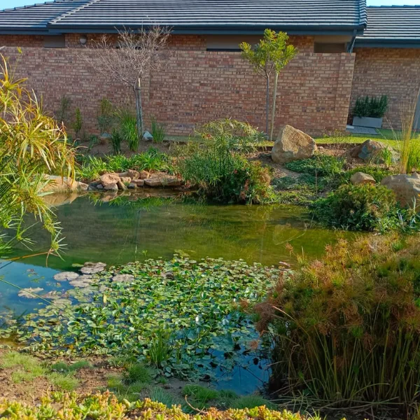 DSMG landscaping and maintenance project, photo 1 of 3