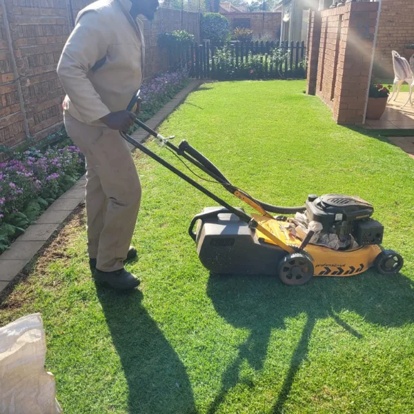 DSMG landscaping and maintenance project, photo 2 of 3